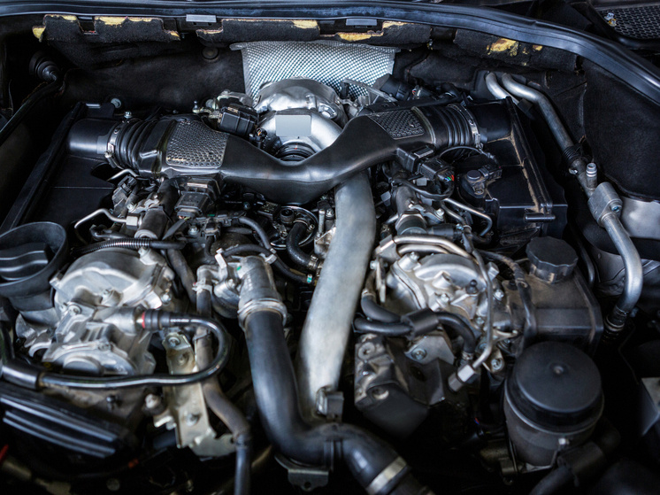     фото: ru.freepik.com