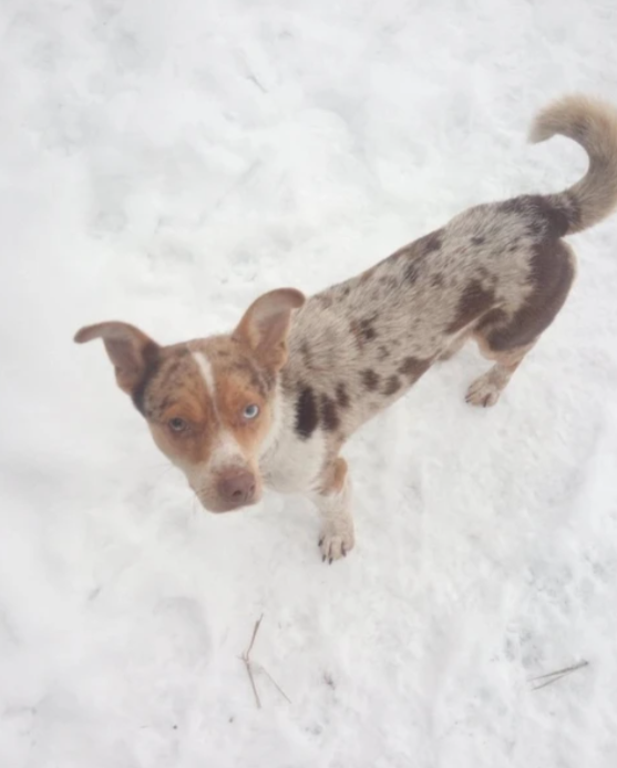 Фото: соцсети