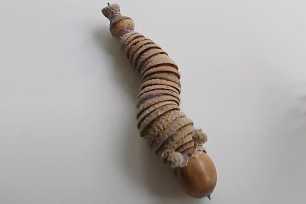 Funny elephant / YouTube📷Поделку можно усложнять: раскрашивать детали, добавлять листья, ягоды и сухоцветы