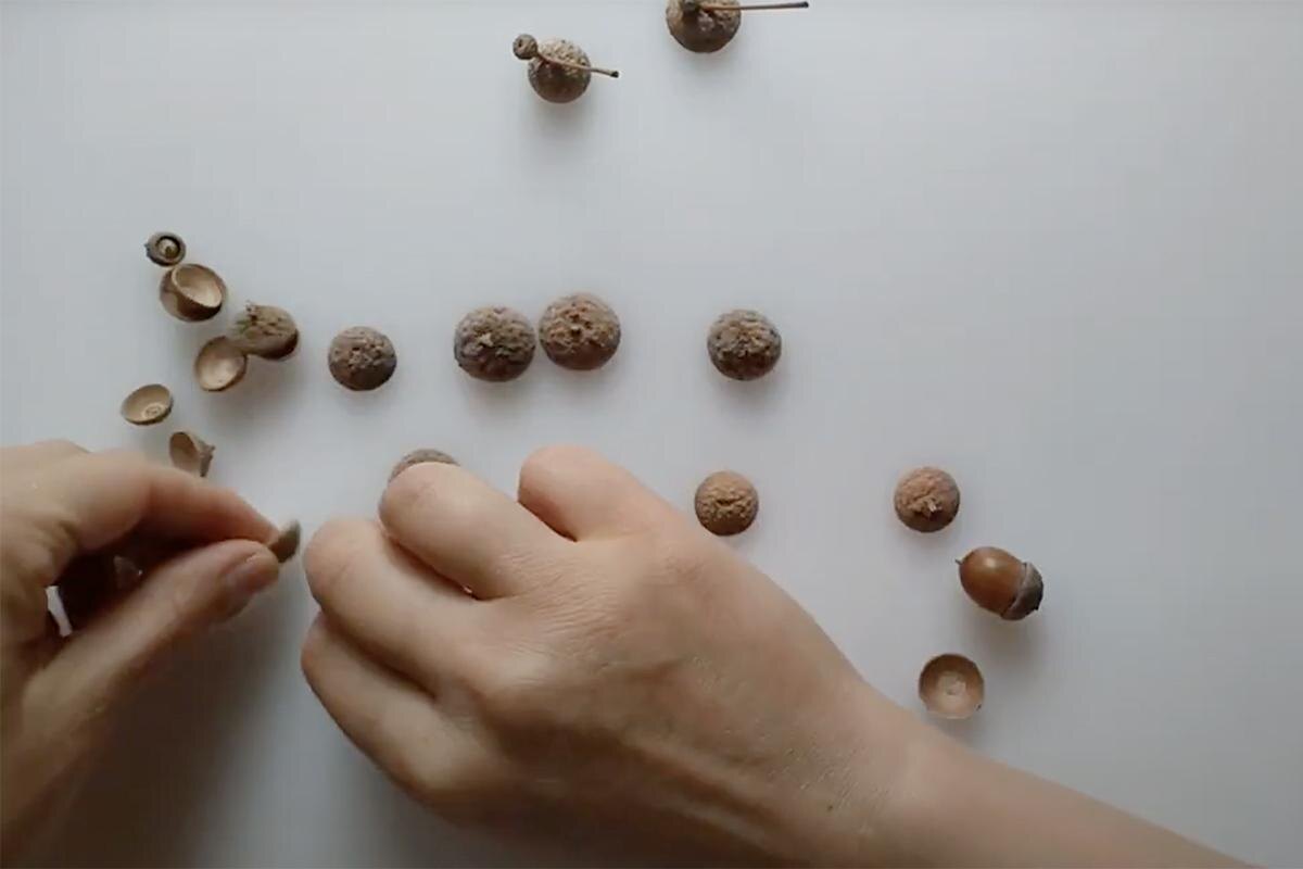 Funny elephant / YouTube📷Поделку можно усложнять: раскрашивать детали, добавлять листья, ягоды и сухоцветы