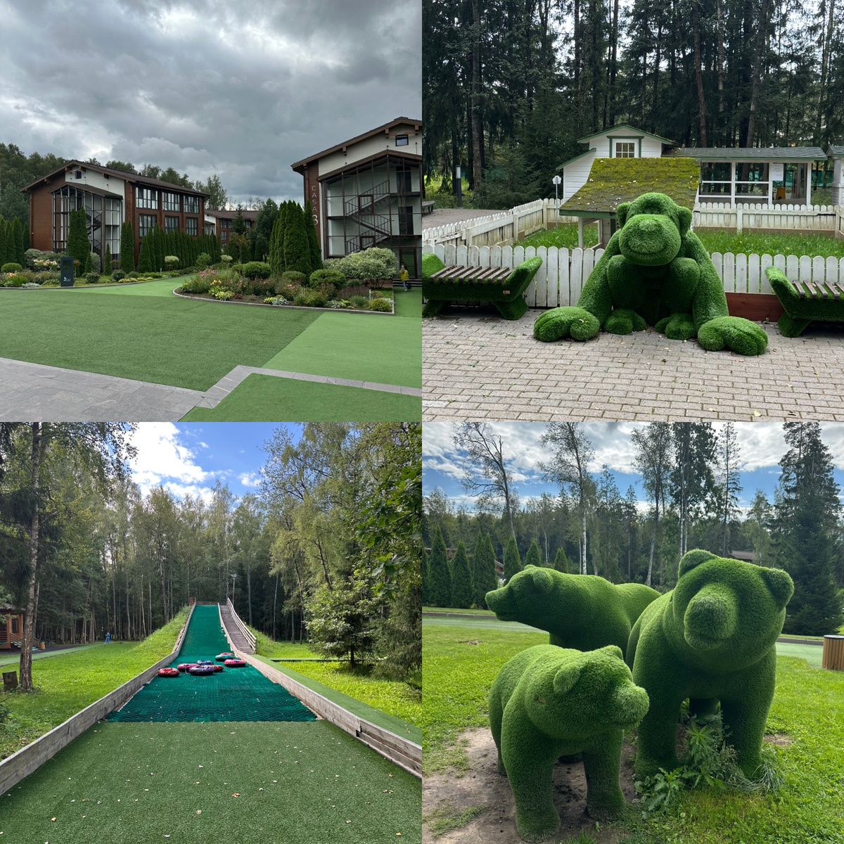 Мишки в лесу)