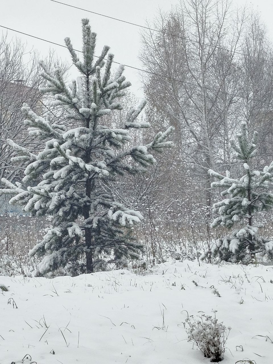 Согласитесь, совсем зимнее фото.... А на дворе только еще октябрь