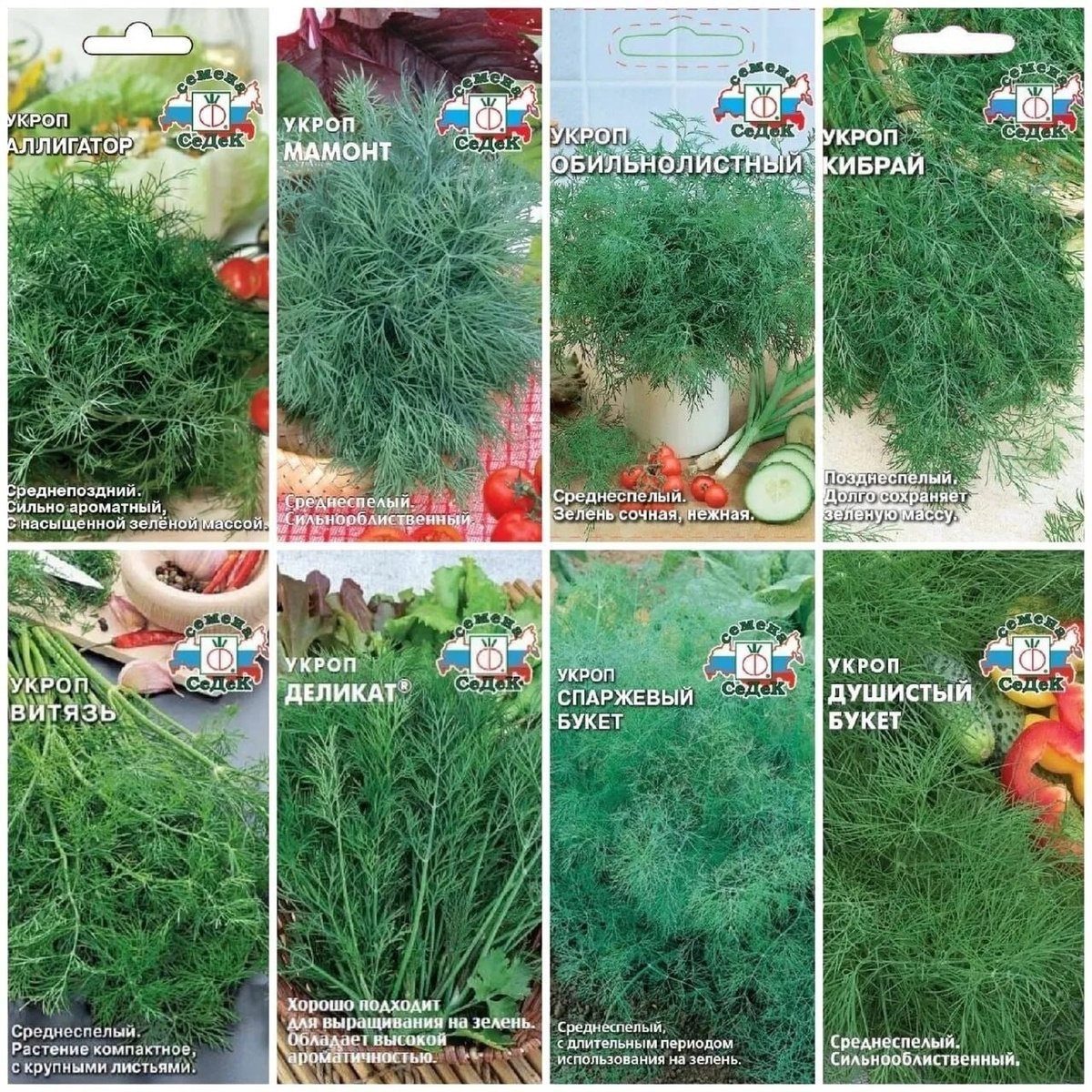 сорта от СеДеК