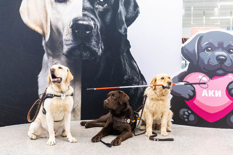    Фото: пресс-служба Московского метрополитена