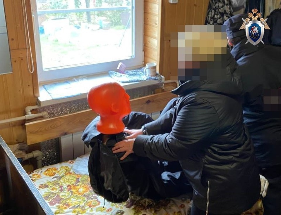    Нижегородку обвиняют в убийстве матери. СУ СКР по Нижегородской области