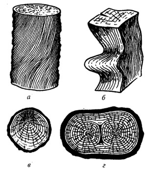 Рис. 1.2. Пороки строения древесины:
а — наклон волокон; б — свилеватость, в — крень, г — двойная сердцевина
