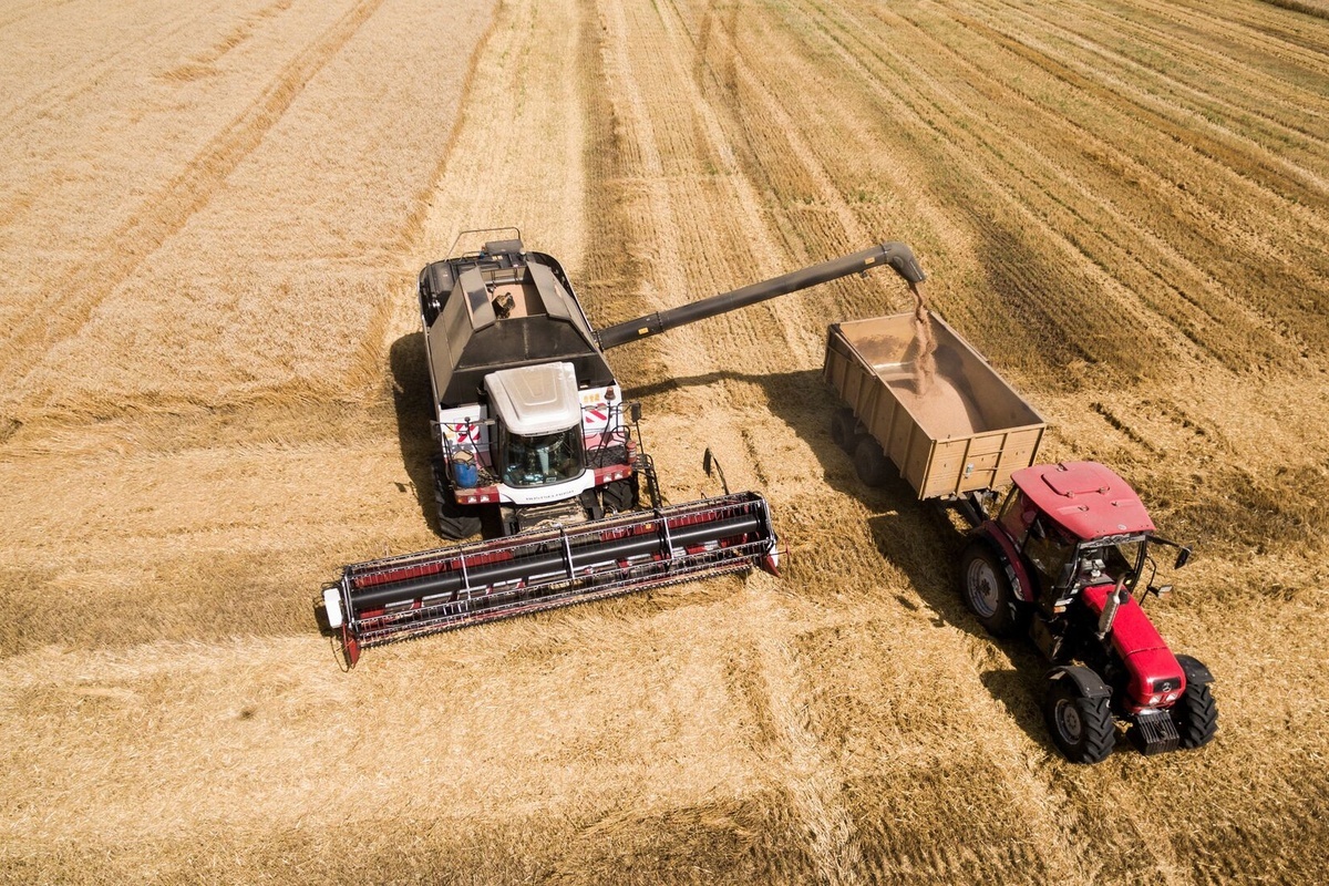    Фото: Виталий Тимкив, источник: ria.ru