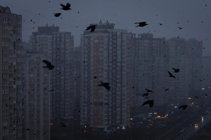 Обложка © ТАСС / АР / Efrem Lukatsky
