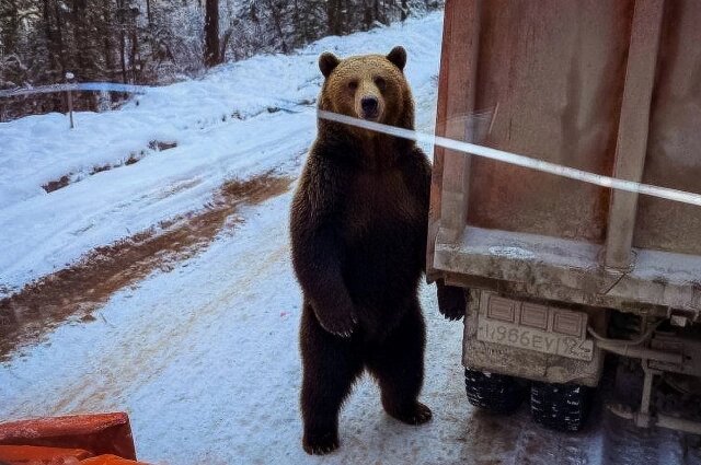    Фото: АО «КрайДЭО»