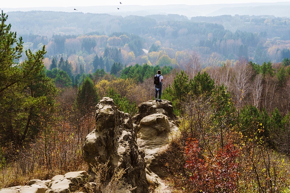    Кисловодский национальный парк расположился по обе стороны реки Ольховки. На его территории растут более 250 пород и видов деревьев и кустарников. / Фото: Алексей Даничев/РИА Новости