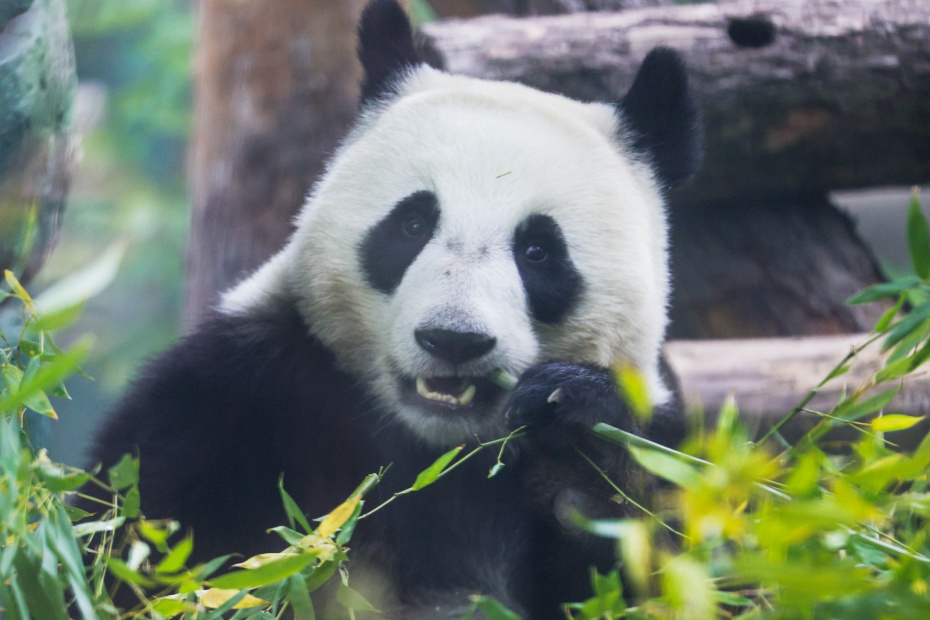    Наталья Шатохина/NEWS.ru