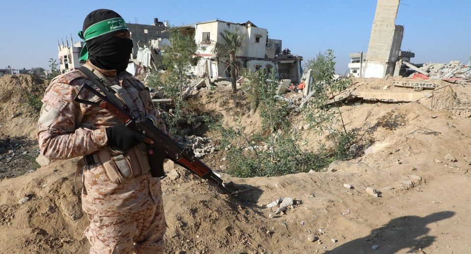    Naaman Omar Apaimages / www.globallookpress.com