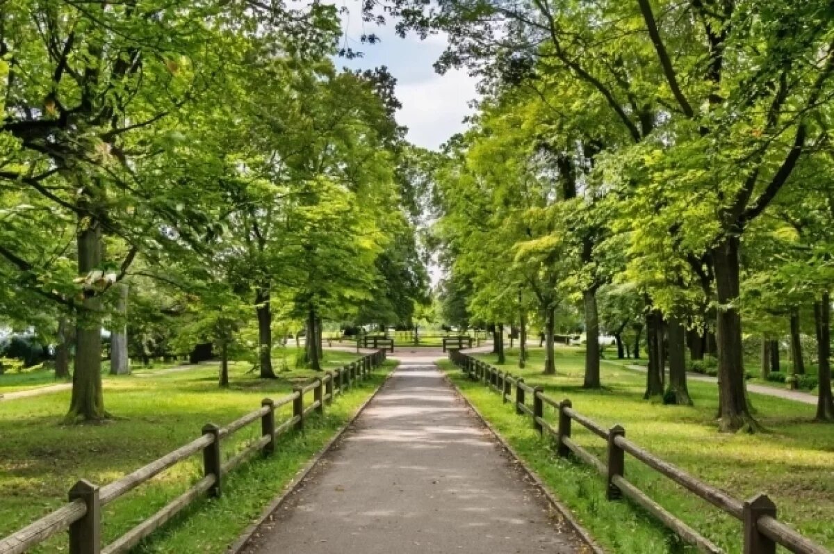    В Славянском районе Кубани благоустраивают парки и общественные территории