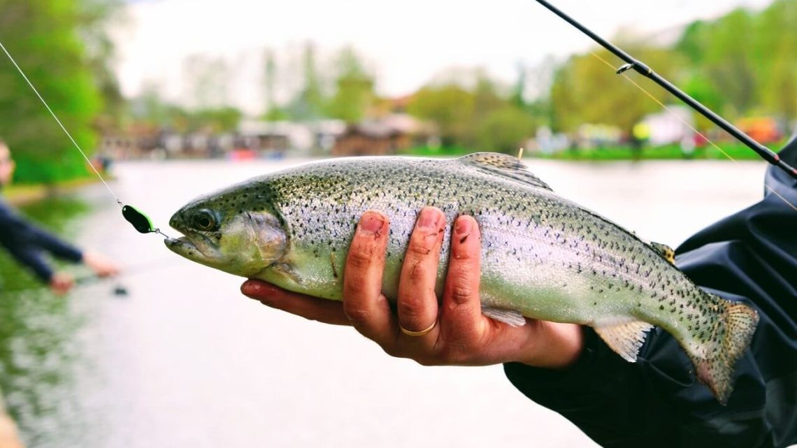 Основная леска + узел морковка+флюр примерно 1 м+застежка+блесна