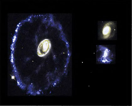 Пример возврата бурной молодости галактик в результате столкновения. Маленькая галактика (справа, вероятно, та, что голубая), сотни миллионов лет назад пролетела через большую галактику слева и вызвала в ней круговую ударную волну в диске, сжимающую газ с пылью, дающую толчок образованию миллиардов звезд. Яркие звезды быстро прогорают, отчего светящееся кольцо тонкое, но за ним остаются менее яркие звезды типа Солнца. Подобные эпизоды возрождения будут изредка происходить и тогда, когда галактики полностью погаснут. Снимок космического телескопа «Хаббл» (NASA) с hubblesite.org