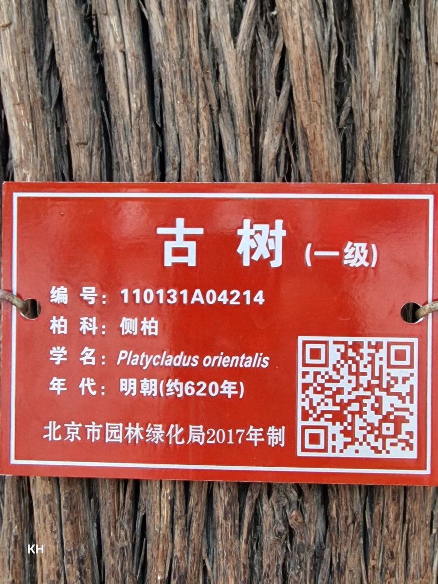 По QR-коду можно узнать о них больше