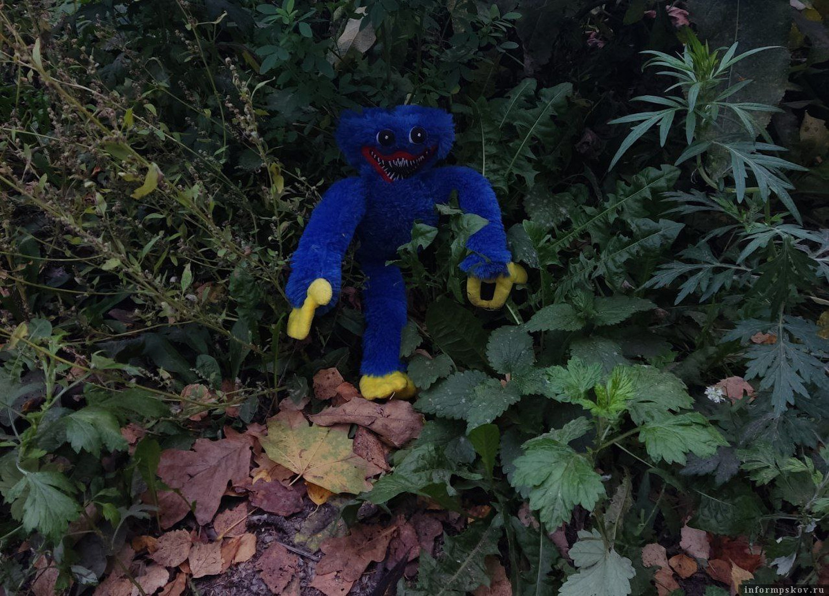 Фото: ПАИ. Изображение носит иллюстративный характер