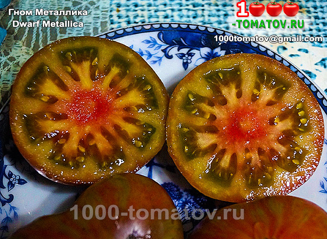 Томат Гном Металлика Dwarf Metallica фото 1