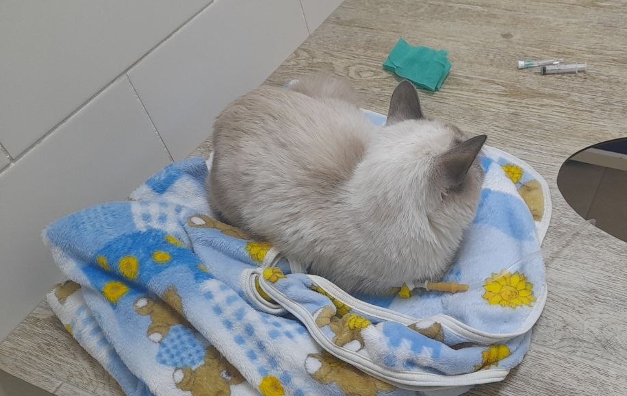 3 октября. Еще живой.