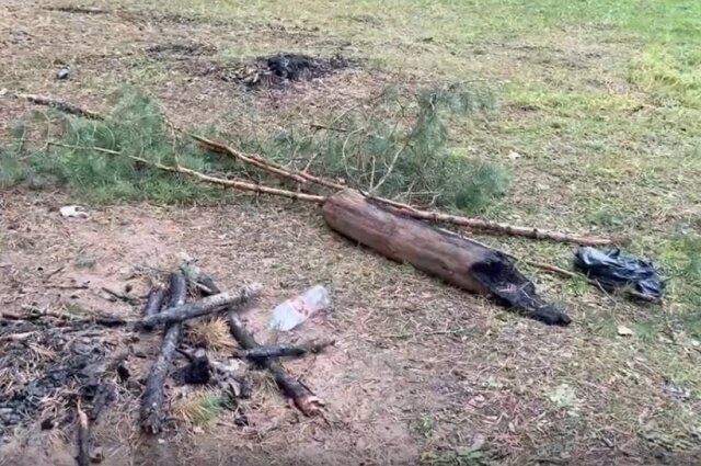    Фото: Народный фронт Владимир