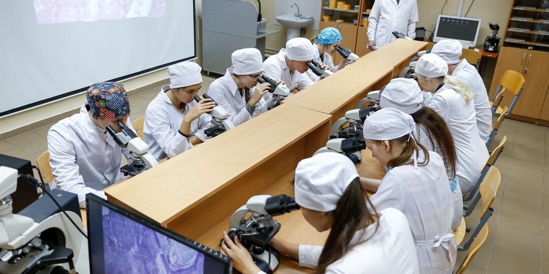 Не распределение, а наставничество. Что еще придумала власть для студентов медвузов