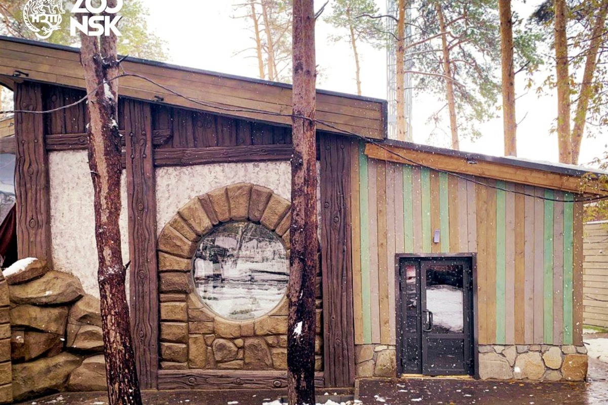    Фото: Новосибирский зоопарк