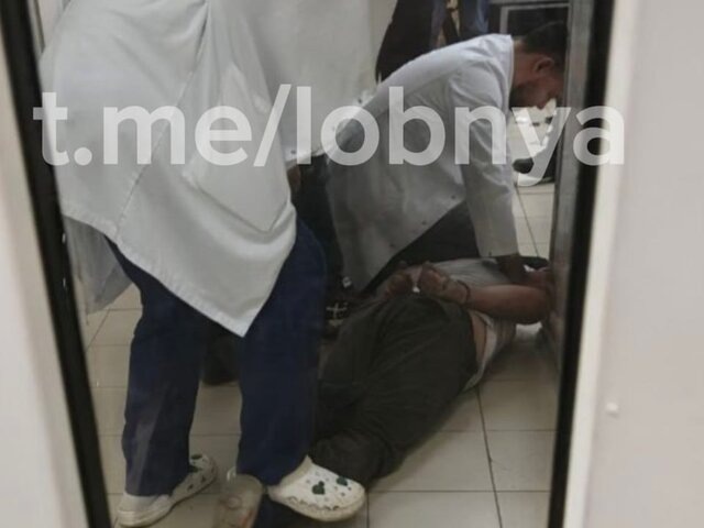    Фото: телеграм-канал "Лобня"