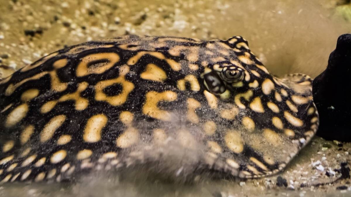    Фото: Shutterstock