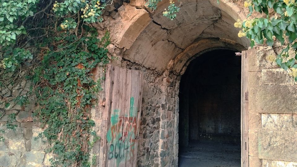 Заброшенные винные подвалы Виннера в Крыму🍇