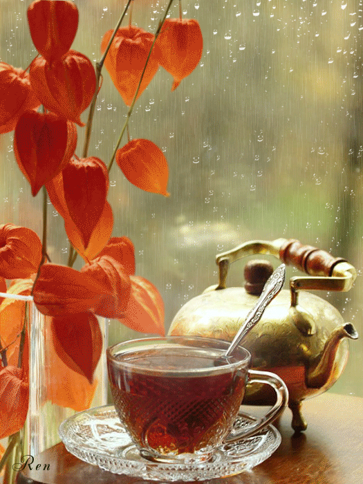 ...  и физалиса!