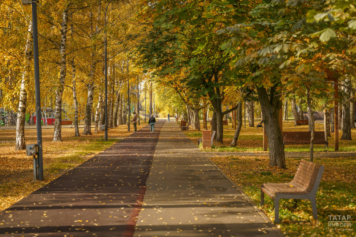 Фото: © Владимир Васильев / «Татар-информ»