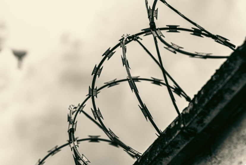    Фото: Mateus Andre/Freepik