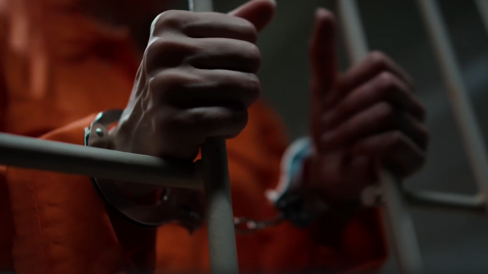 ФОТО: Кадр из программы "Как устроен мир", РЕН ТВ