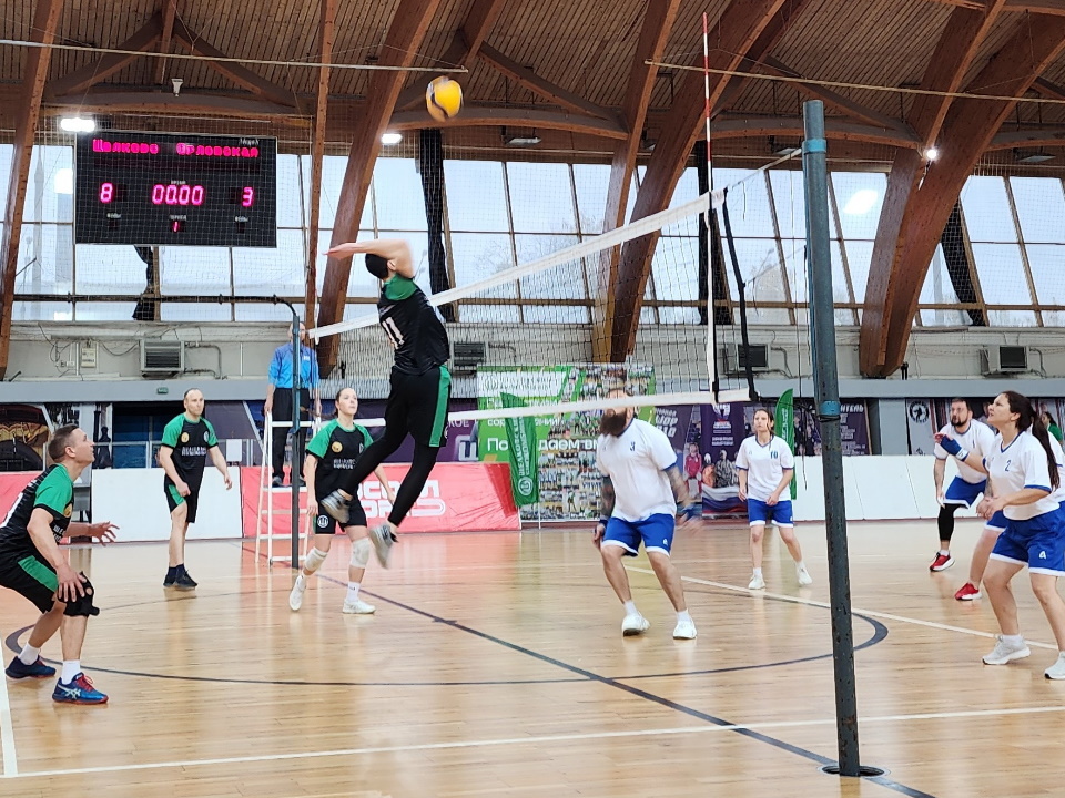    Фото: МедиаБанк Подмосковья/Валерия Тингаева