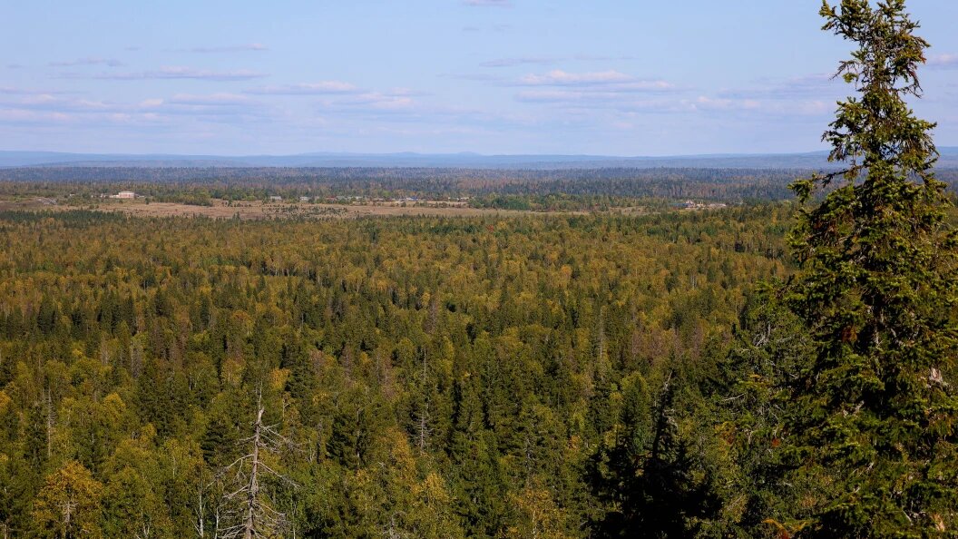    Фото: Elena Mayorova/Globallookpress