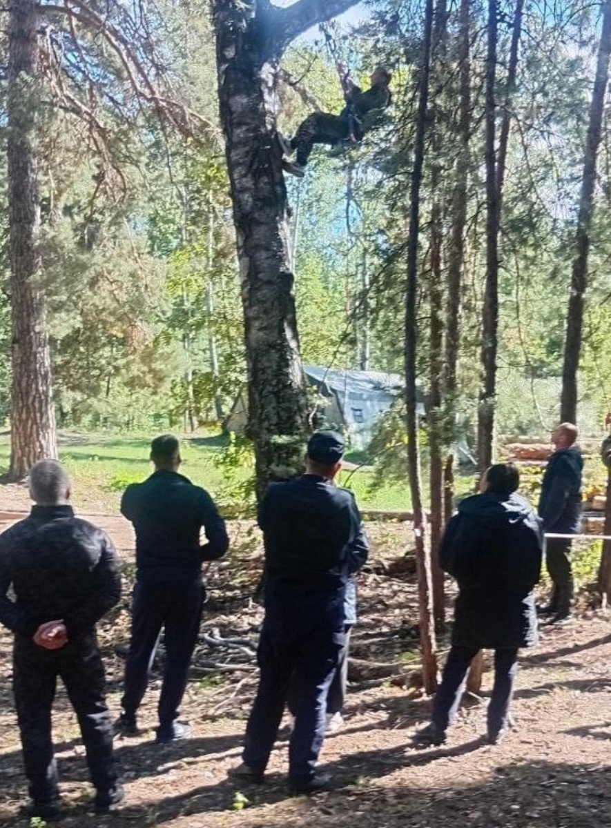 Рокот Ульяновск