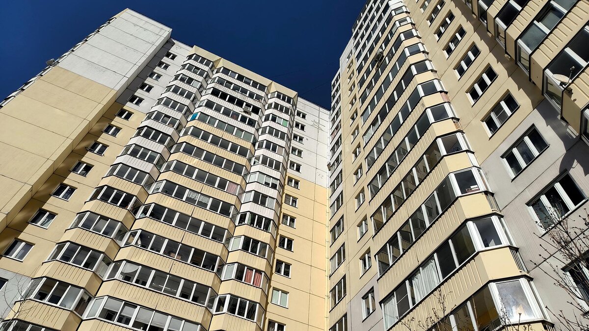    Фото: Maksim Konstantinov/globallookpress.com