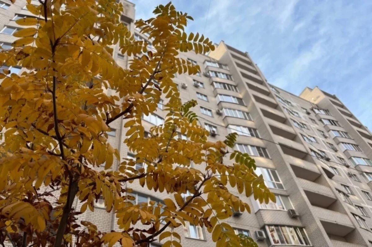    Дождь будет сопровождать воронежцев все выходные