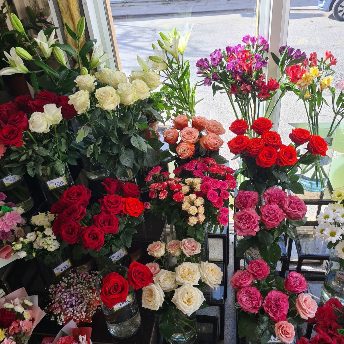 Фото автора