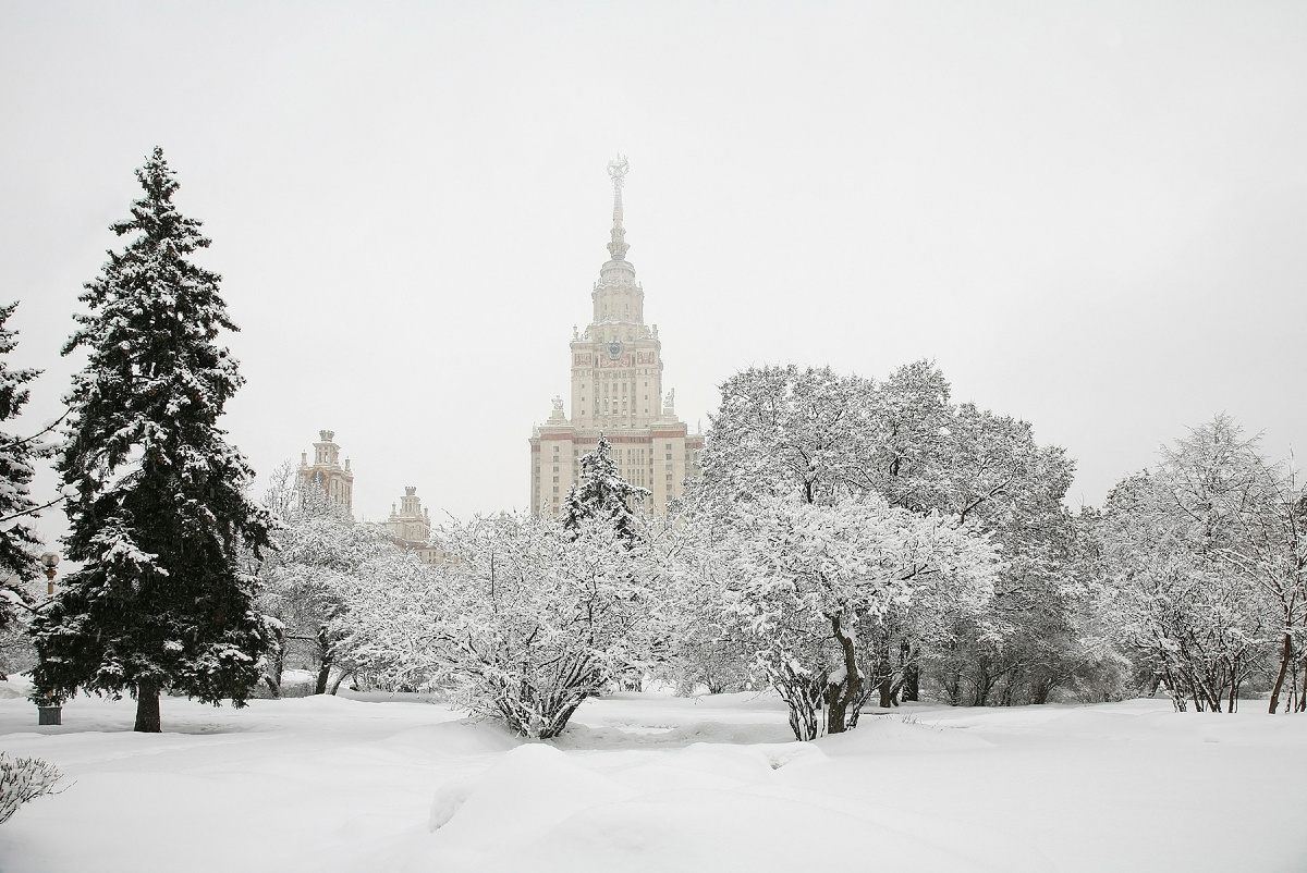 Фото: Shutterstock