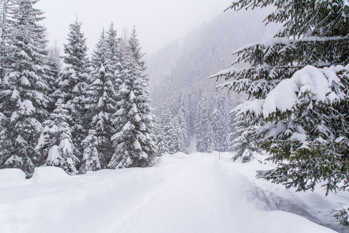 Фото: Shutterstock