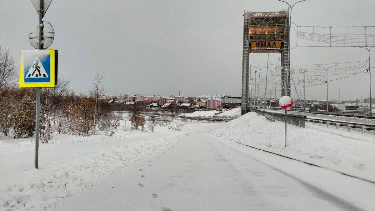    Фото: Владимир Ганчерко / «Ямал-Медиа»