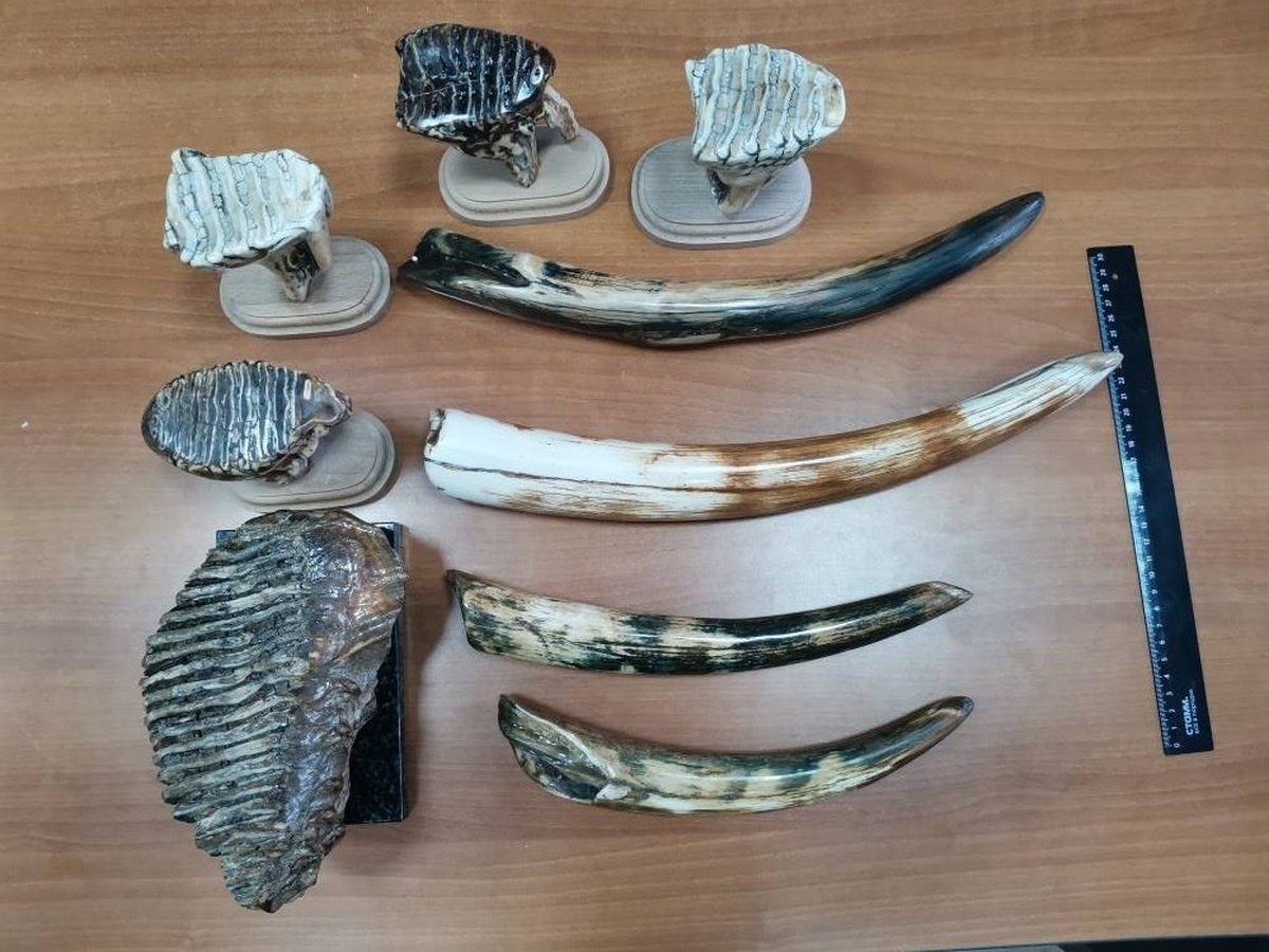    Фото t.me/prokutp