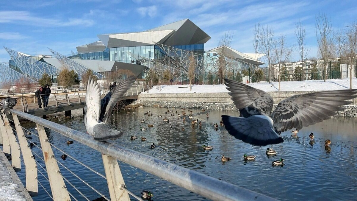     Источник: inkazan.ru