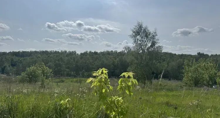    Единый портал торгов Московской области ЕАСУЗ