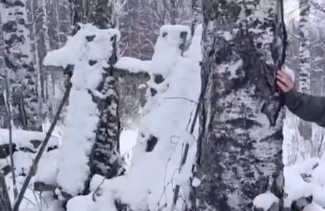     На Кутурчинском Белогорье прочёсывают новый участок