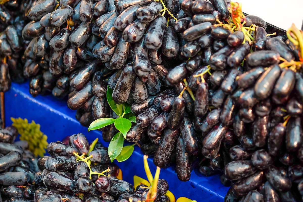 Фото: Getty Images/Azonman