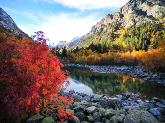    Домбай осенью // фото: drive2.com