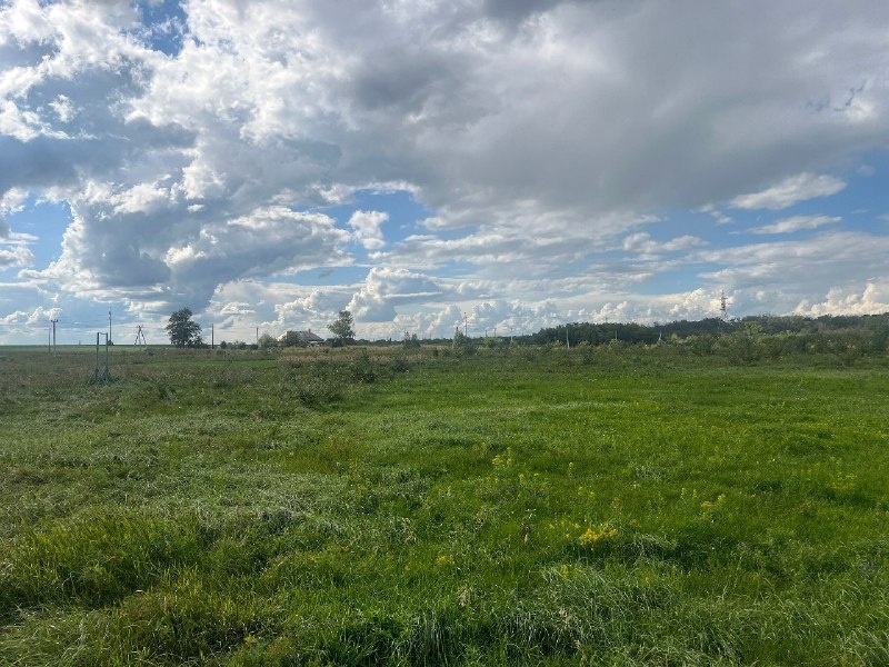 Ущерб, причиненный бюджету, достиг 10 млн рублей