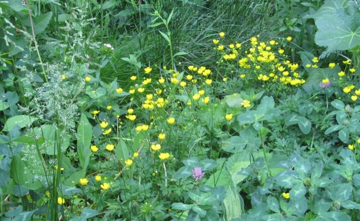    фото Курские известия